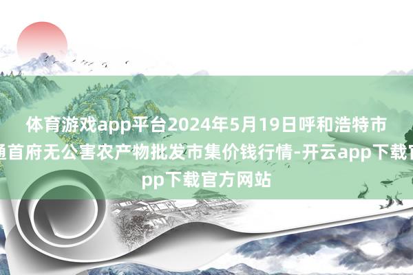 体育游戏app平台2024年5月19日呼和浩特市好意思通首府无公害农产物批发市集价钱行情-开云app下载官方网站