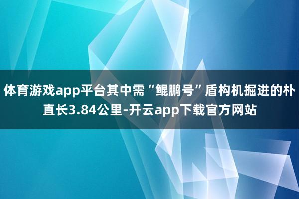 体育游戏app平台其中需“鲲鹏号”盾构机掘进的朴直长3.84公里-开云app下载官方网站