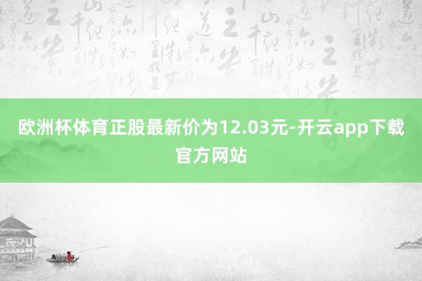 欧洲杯体育正股最新价为12.03元-开云app下载官方网站