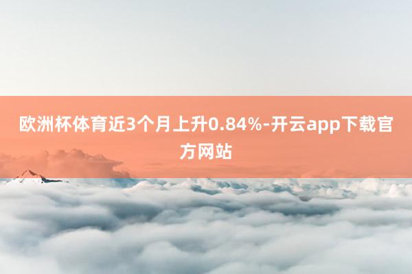 欧洲杯体育近3个月上升0.84%-开云app下载官方网站