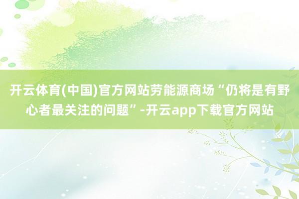 开云体育(中国)官方网站劳能源商场“仍将是有野心者最关注的问题”-开云app下载官方网站