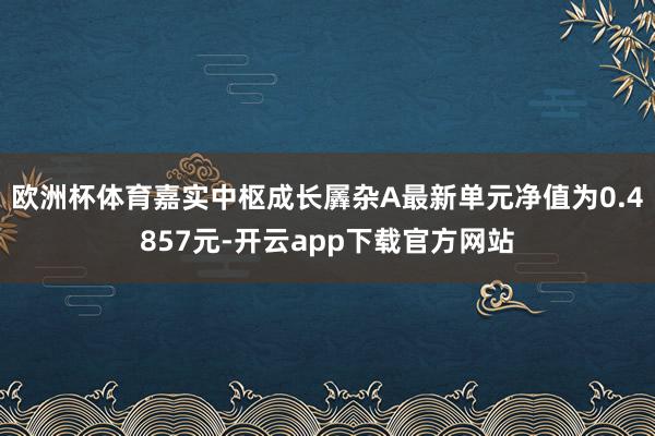 欧洲杯体育嘉实中枢成长羼杂A最新单元净值为0.4857元-开云app下载官方网站