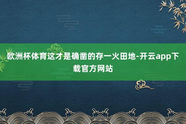 欧洲杯体育这才是确凿的存一火田地-开云app下载官方网站